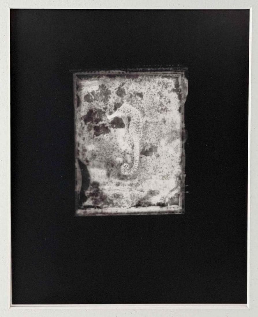 Akira Kitajima (Japanese, 20th/21st C.), Untitled (Seahorse), 1991, Toned Gelatin Silver Print - 3