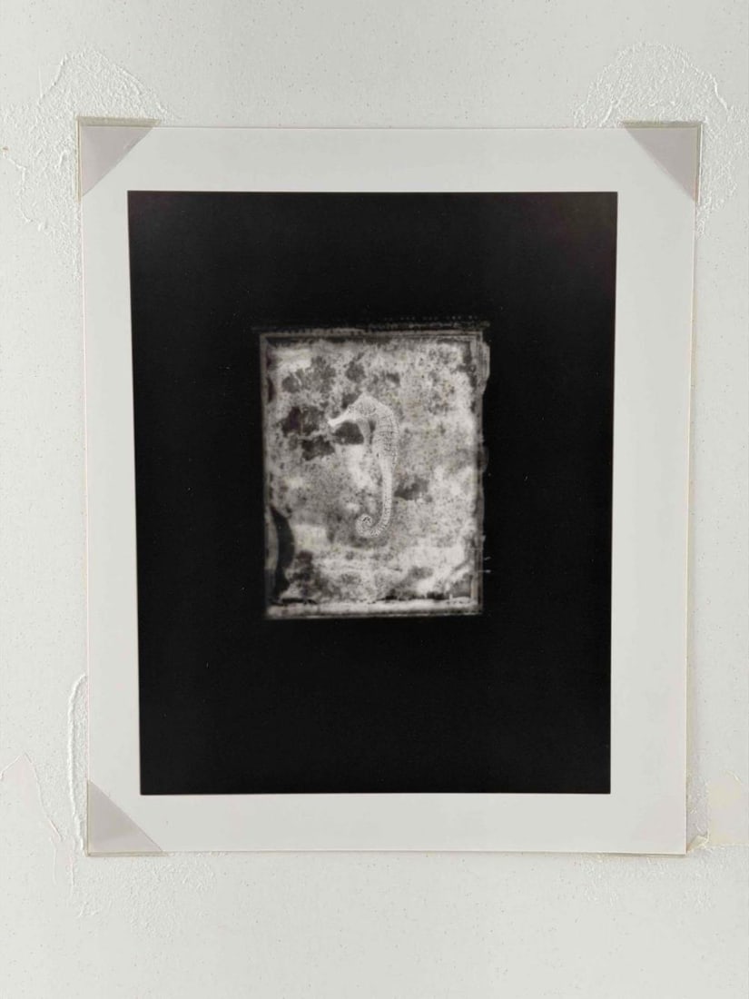 Akira Kitajima (Japanese, 20th/21st C.), Untitled (Seahorse), 1991, Toned Gelatin Silver Print - 4