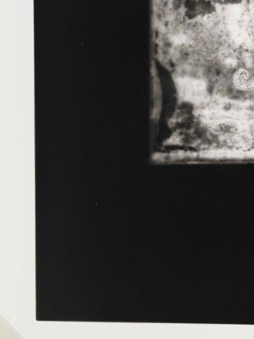 Akira Kitajima (Japanese, 20th/21st C.), Untitled (Seahorse), 1991, Toned Gelatin Silver Print - 6