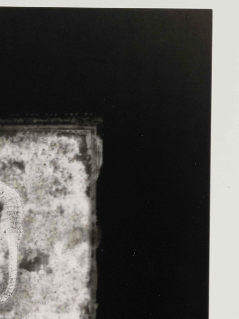 Akira Kitajima (Japanese, 20th/21st C.), Untitled (Seahorse), 1991, Toned Gelatin Silver Print - 7