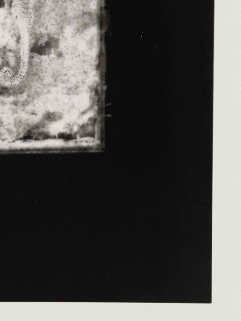 Akira Kitajima (Japanese, 20th/21st C.), Untitled (Seahorse), 1991, Toned Gelatin Silver Print - 8