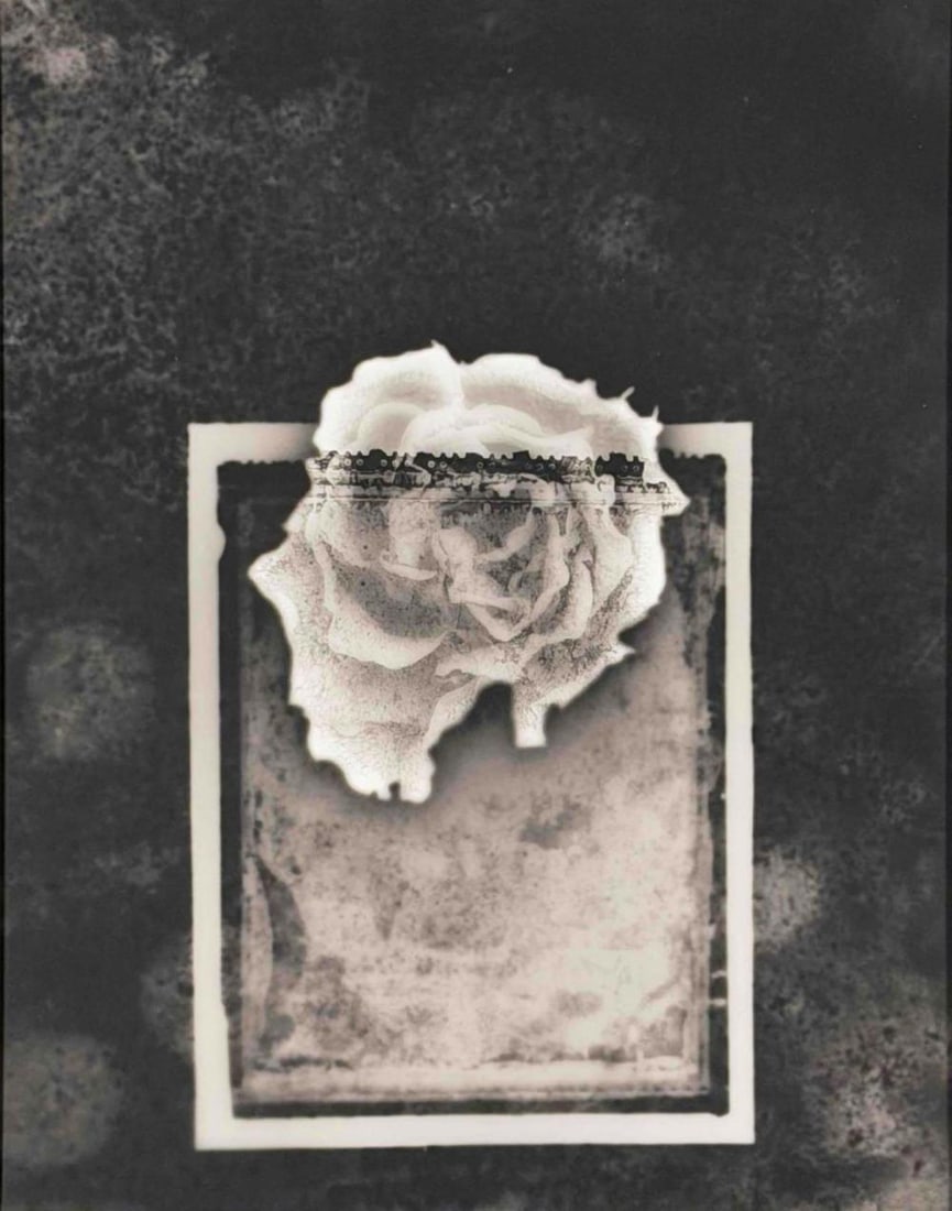 Akira Kitajima (Japanese, 20th/21st C.), Untitled (Rose), 1991, Toned Gelatin Silver Print (1 of 15)