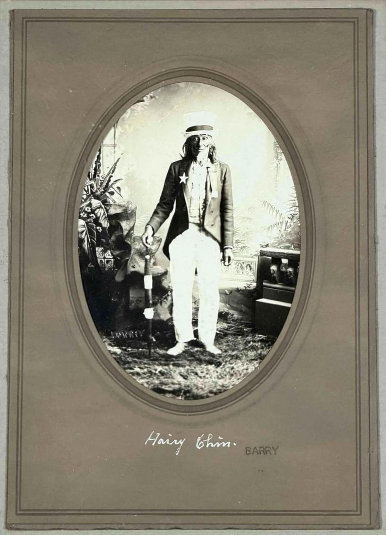 Framed Antique D.F. Barry Photograph of Chief Hairy Chin, Native American Portrait (1 of 10)