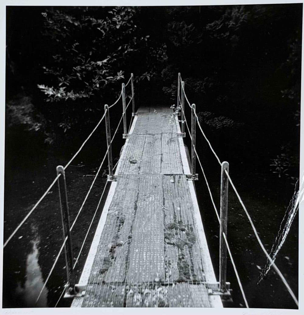 Gypsy Ray (1949-2020), Altamont Gardens, 2005, Gelatin Silver Print (1 of 10)