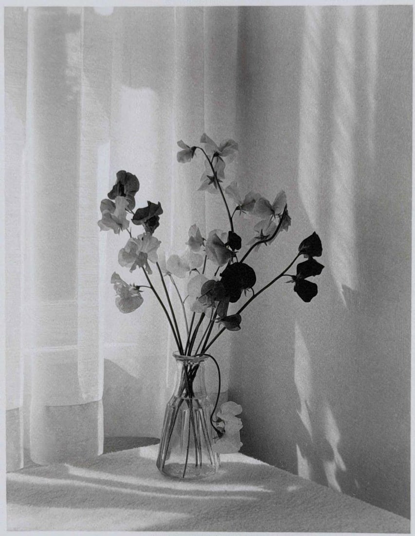 Ryuijie (Japanese American b. 1950), Sweet Pea II, 1997, Platinum/Palladium Print (1 of 9)