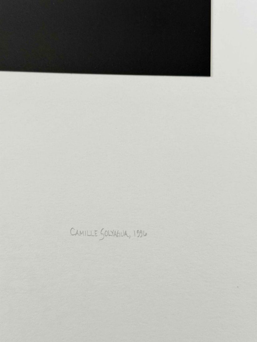 Camille Solyagua (American. b. 1959), Gibbous Moon Study I, 1996, Toned Gelatin Silver Print - 4