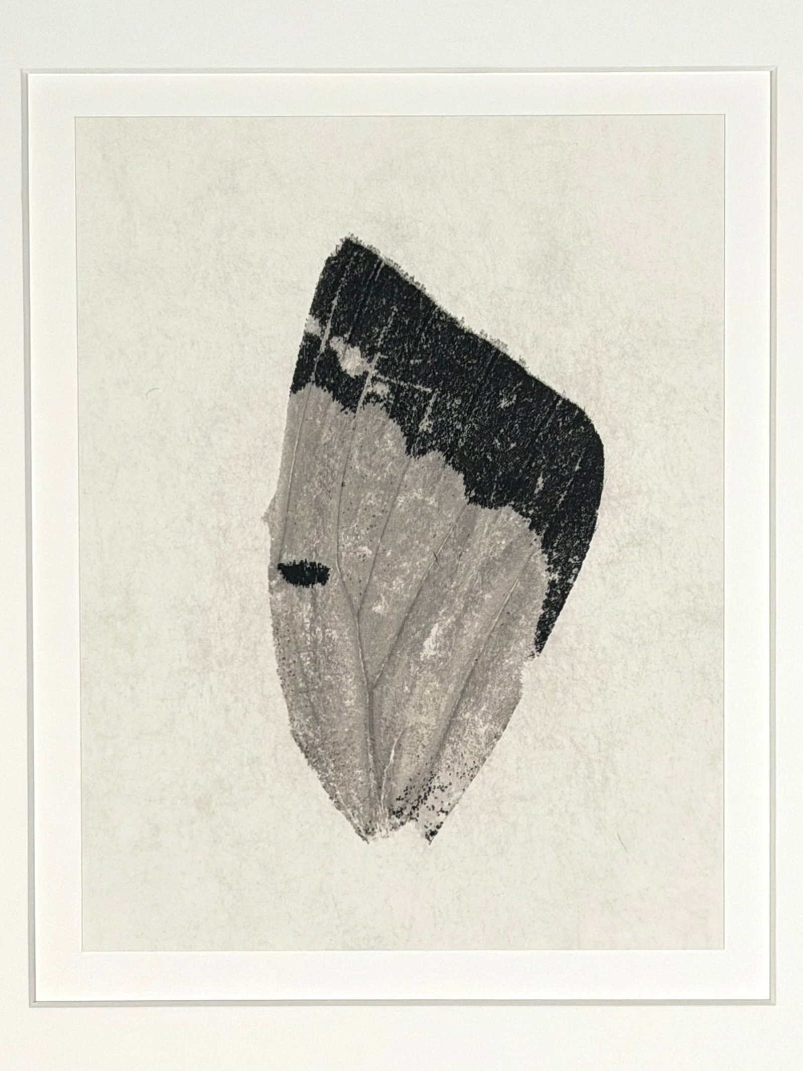 Camille Solyagua (American. b. 1959), Wing Study #2, 1995, Toned Gelatin Silver Print (1 of 10)