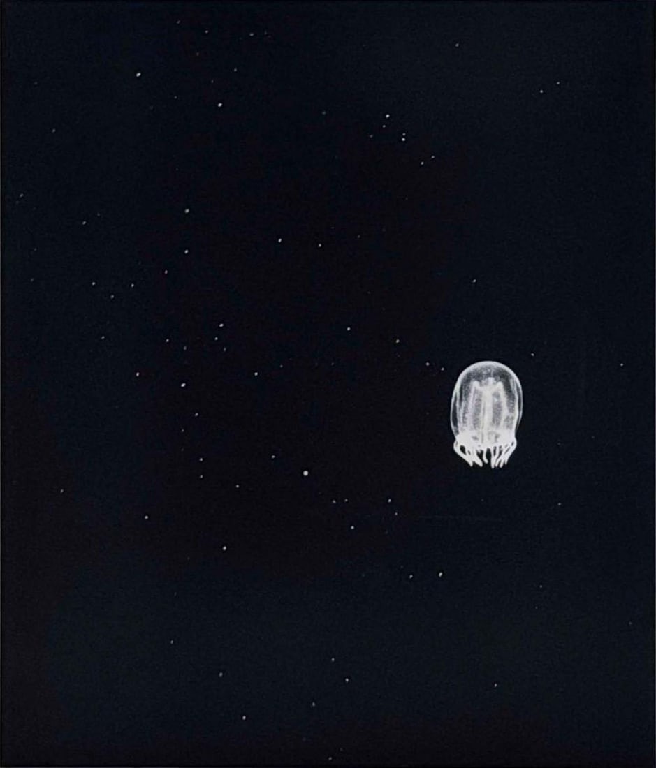 Camille Solyagua (American. b. 1959), Jellyfish #7, 1992, Toned Gelatin Silver Print: Camille Solyagua (American. b. 1959), Jellyfish #7, 1992, Toned Gelatin Silver Print, Print Date 1995. Pencil signed and dated on mount. Titled, dated, and editioned '5/45' with artist's stamp on vers