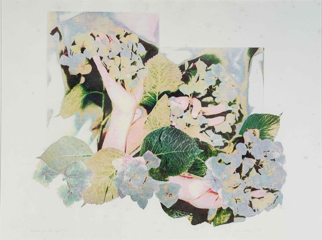 Ellen Land-Weber (American, 20th C.) Hydrangea Handful #2, Photo-Based Color Print, 1976 (1 of 13)