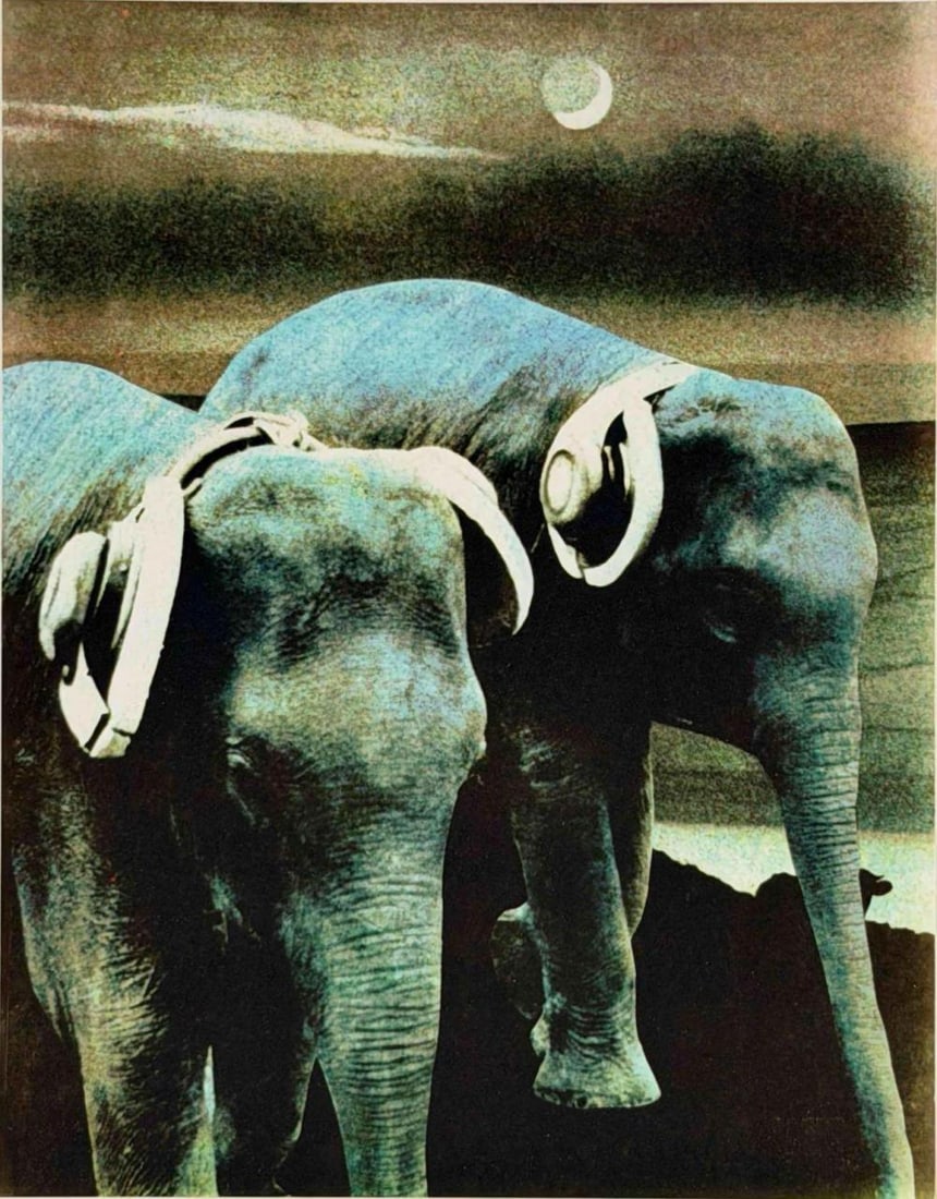 Ellen Land-Weber (American, 20th C.) Elephants With Headphones, Photo-Based Color Print (1 of 9)