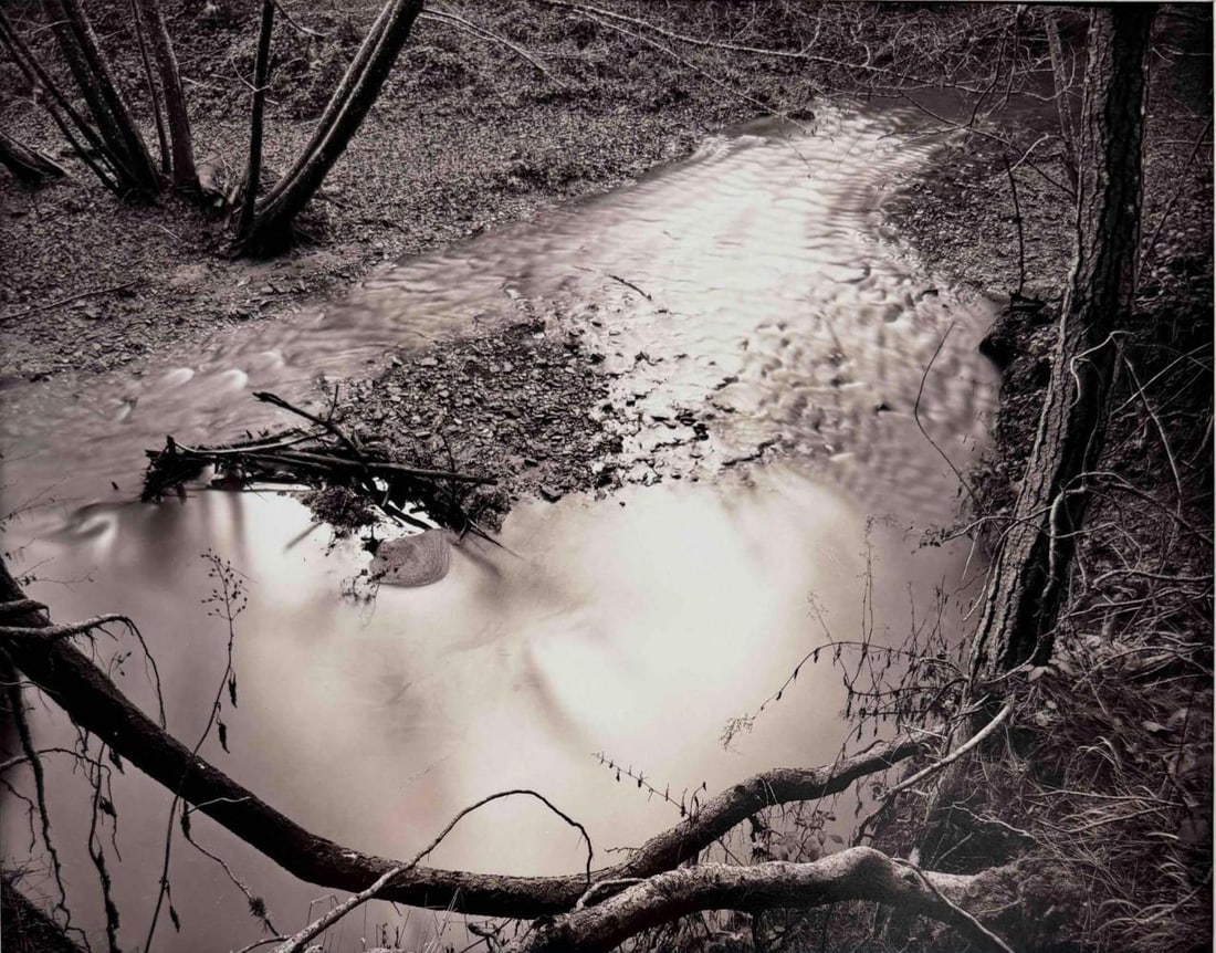 Joel Leivick (American, b. 1951), Scott Creek #5, 1986, Gelatin Silver Print (1 of 8)