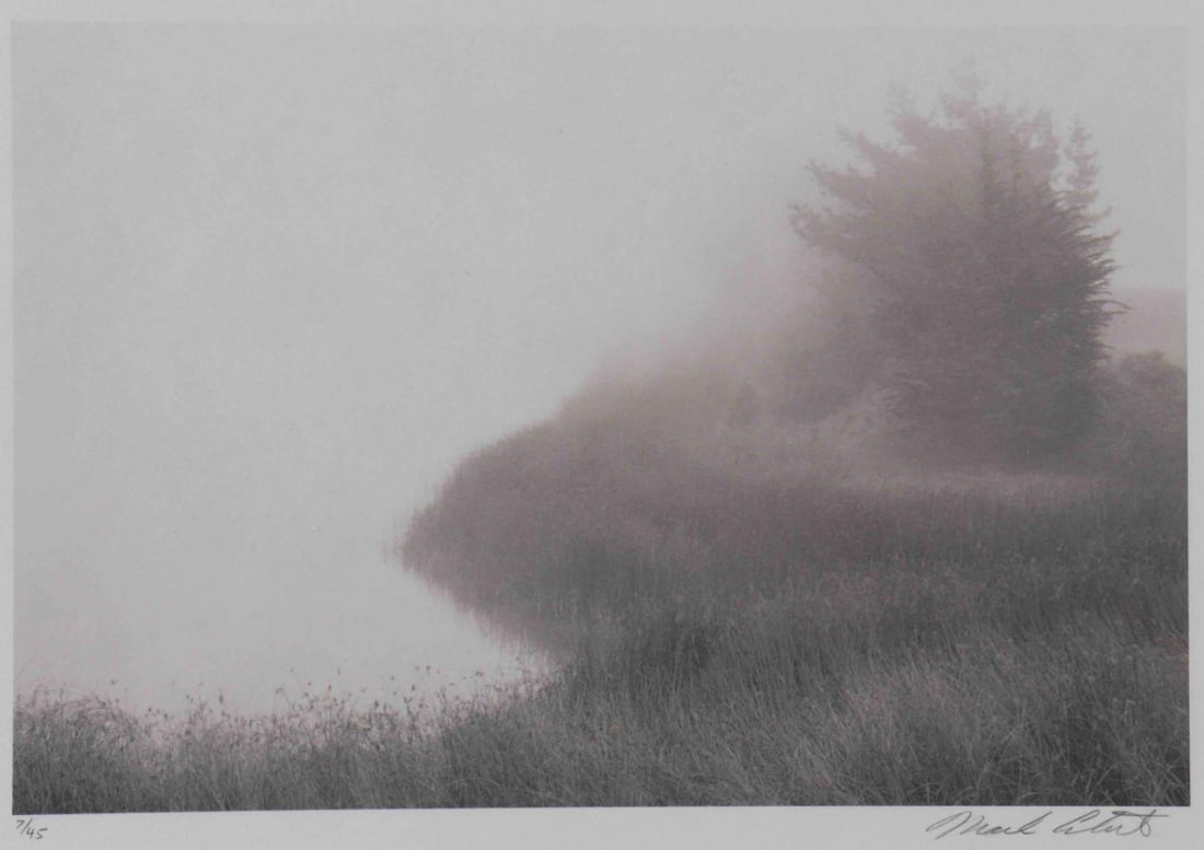 Mark Citret (American, b. 1949), Fog Lake, Merced, Toned Gelatin Silver Print On Vellum: Mark Citret (American, b. 1949), Fog Lake, Merced, Toned Gelatin Silver Print on Vellum. Signed, titled, dated 1995, and editioned '7/45' in pencil in the margin. Mark Citret is a California photograp