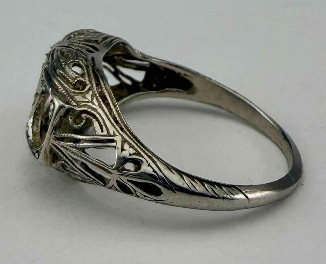 Platnimum Ring - 2