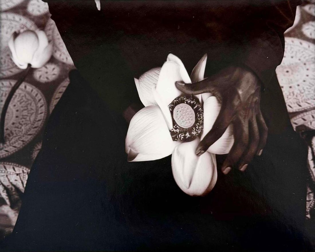 Linda Connor (American, b. 1944), Lotus, Kashmir, India (1 of 10)