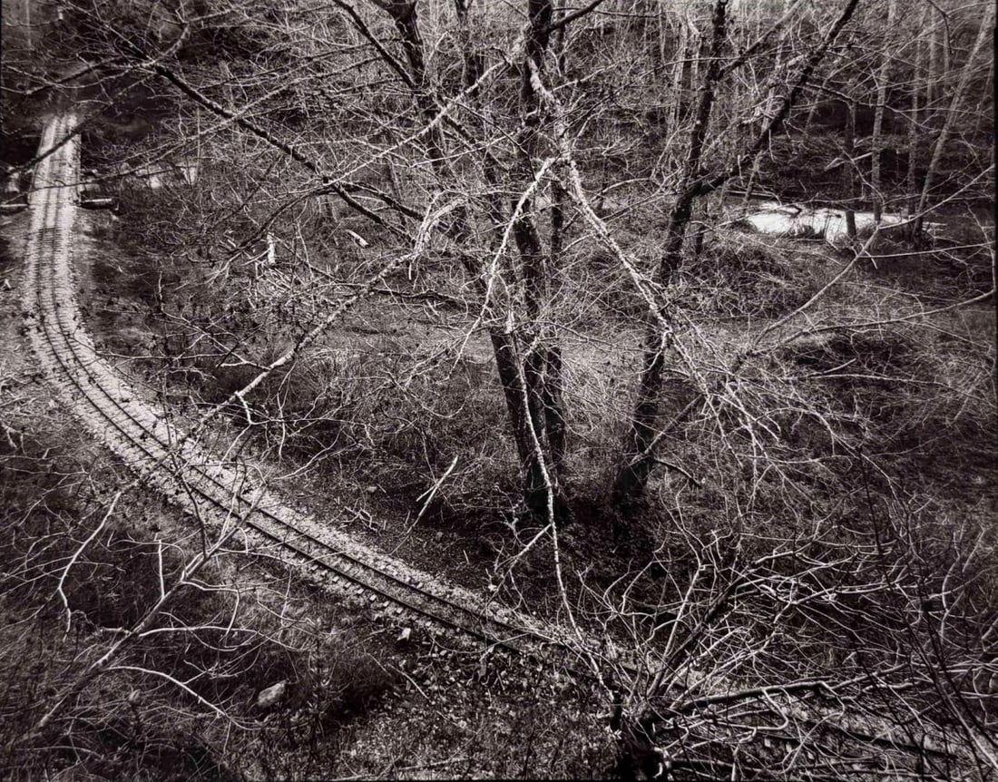 Joel Leivick (American, b. 1951), Scott Creek #23, 1986, Gelatin Silver Print: Joel Leivick (American, b. 1951), Scott Creek #23, 1986, Gelatin Silver Print. Signed, titled, and dated, with artist's stamp on verso. Accompanied by copies of the relevant pages from an appraisal by