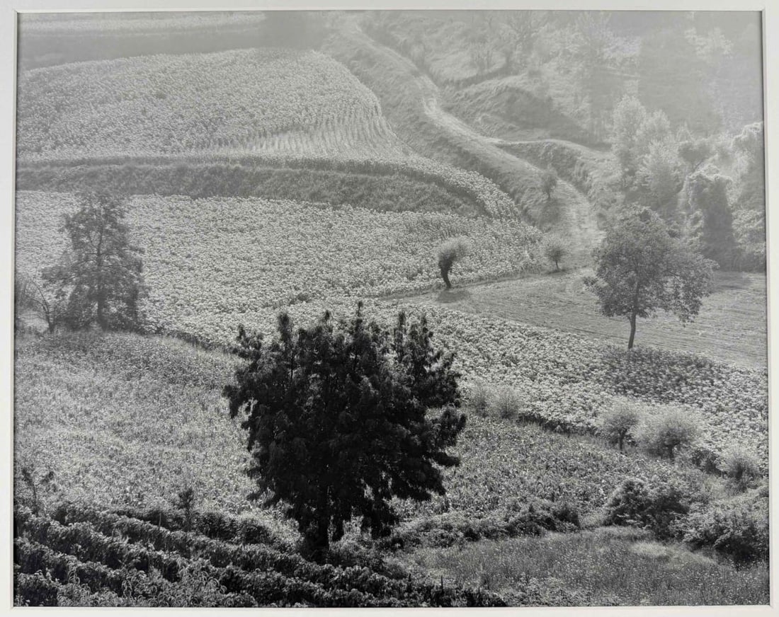 Joel Leivick (American, b. 1951), Landscape Near Cetona, Italy, Gelatin Silver Print.: Joel Leivick (American, b. 1951), Landscape Near Cetona, Italy, Gelatin Silver Print. Pencil signed, titled, and dated 1987, with artist's stamp on verso. Additionally inscribed "#I-136" and "3 6/8." 