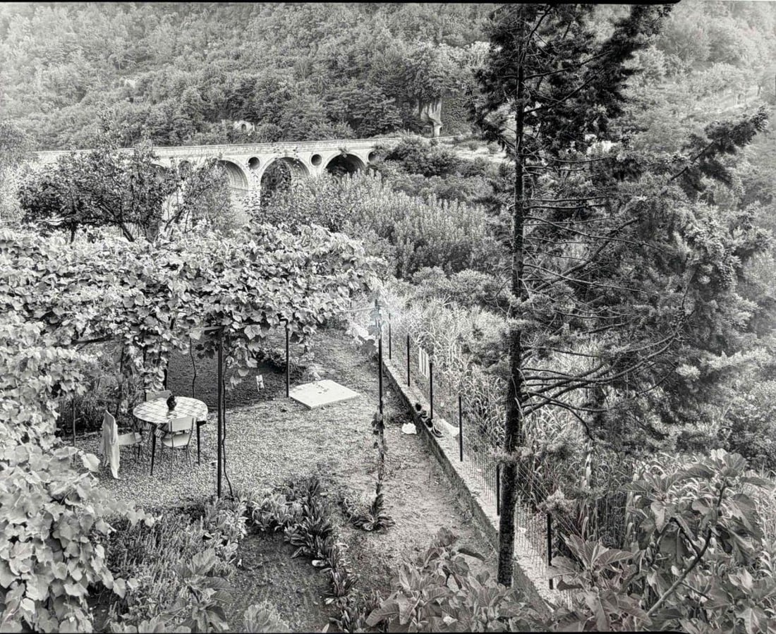 Joel Leivick (American, b. 1951), Pitigliano Garden, Gelatin Silver Print (1 of 10)