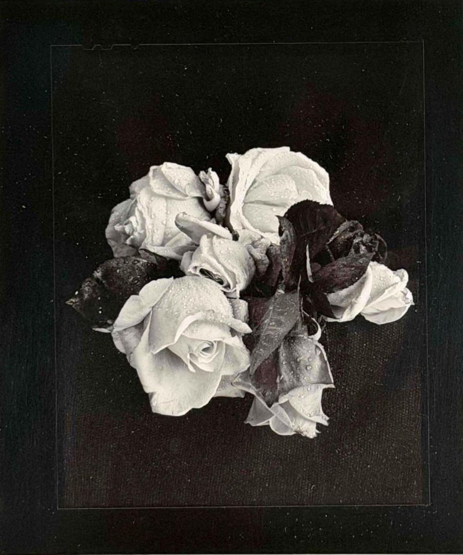 Gypsy Ray (1949-2020), Claire's Roses, Gelatin Silver Print: Gypsy Ray (1949-2020), Claire's Roses, Gelatin Silver Print. Signed and titled on mat. Undated. Gypsy Ray was an American-born photographer and visual artist who later lived and worked in County Kilke