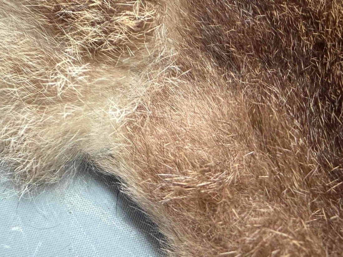 Fur Throw Blanket - 15