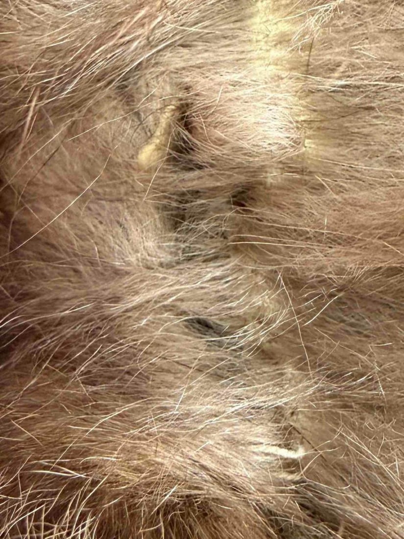 Fur Throw Blanket - 18
