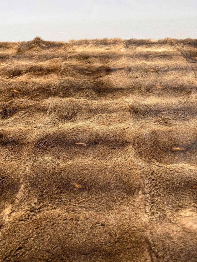 Fur Throw Blanket - 5