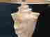 item-48733342=4