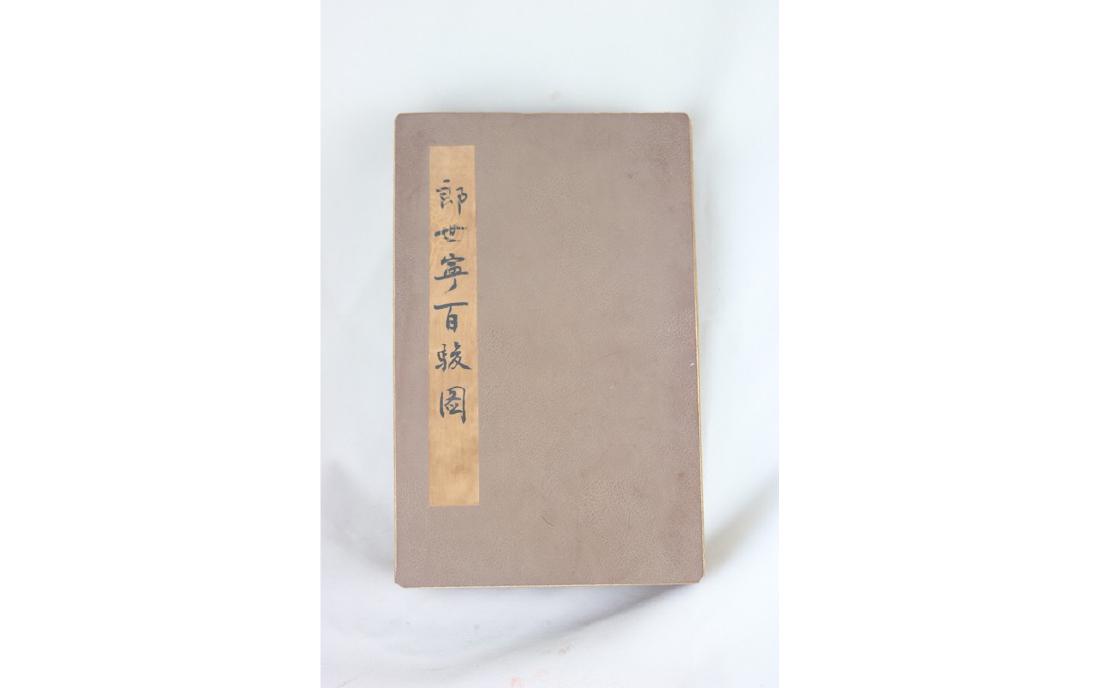 Chinese Album Painting: Chinese album paintings, color on paper, depicting hundreds horses; signed Lang Shi Ning (Giuseppe Castiglione, 1688.7.19—1766.7.16) L: 28 cm, W: 18 cm