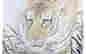 item-72114649=2