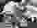 item-79050819=2