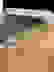 item-80362009=3