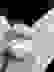 item-80362025=3