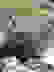 item-80362076=3