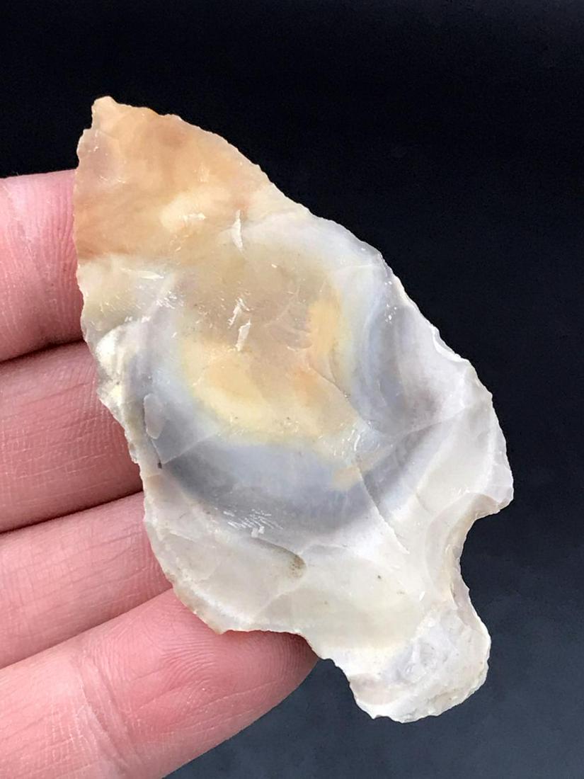 Artifact, Rock, Stone, Tool, History, Collectible,: Adena Robbins point. Missouri/Arkansas border area