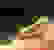 item-80362261=3