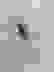 item-80362263=2