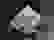 item-80362304=2