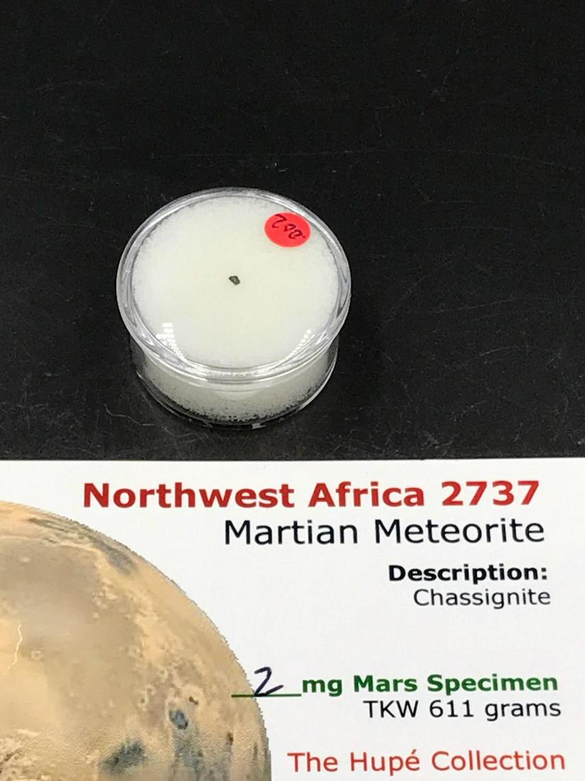 Meteorite, Rock, Crystal, Natural, Collectible,: Martian meteorite.