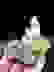 item-80362331=2