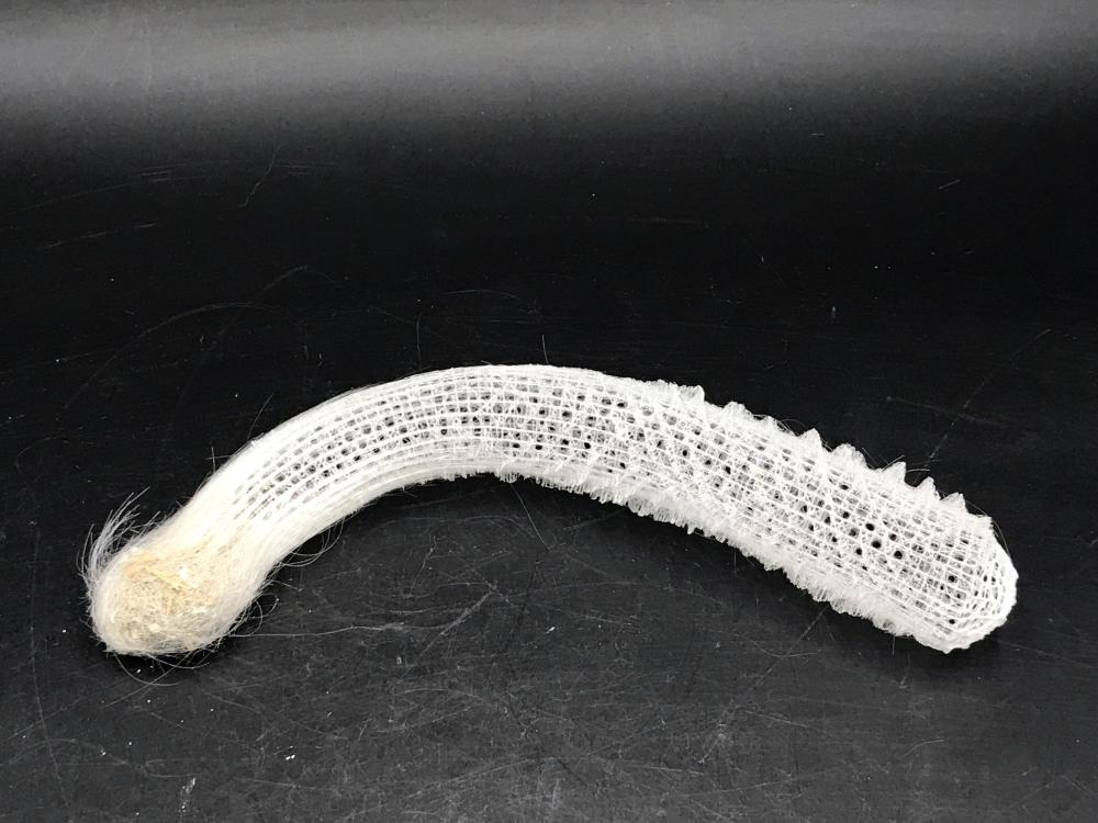 Sponge, Shell, Ocean, Natural, Collectible, Specimen: Glass sponge, Venus Flower Basket. Notes: Est. Shipping quote $8
