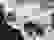 item-81684511=3