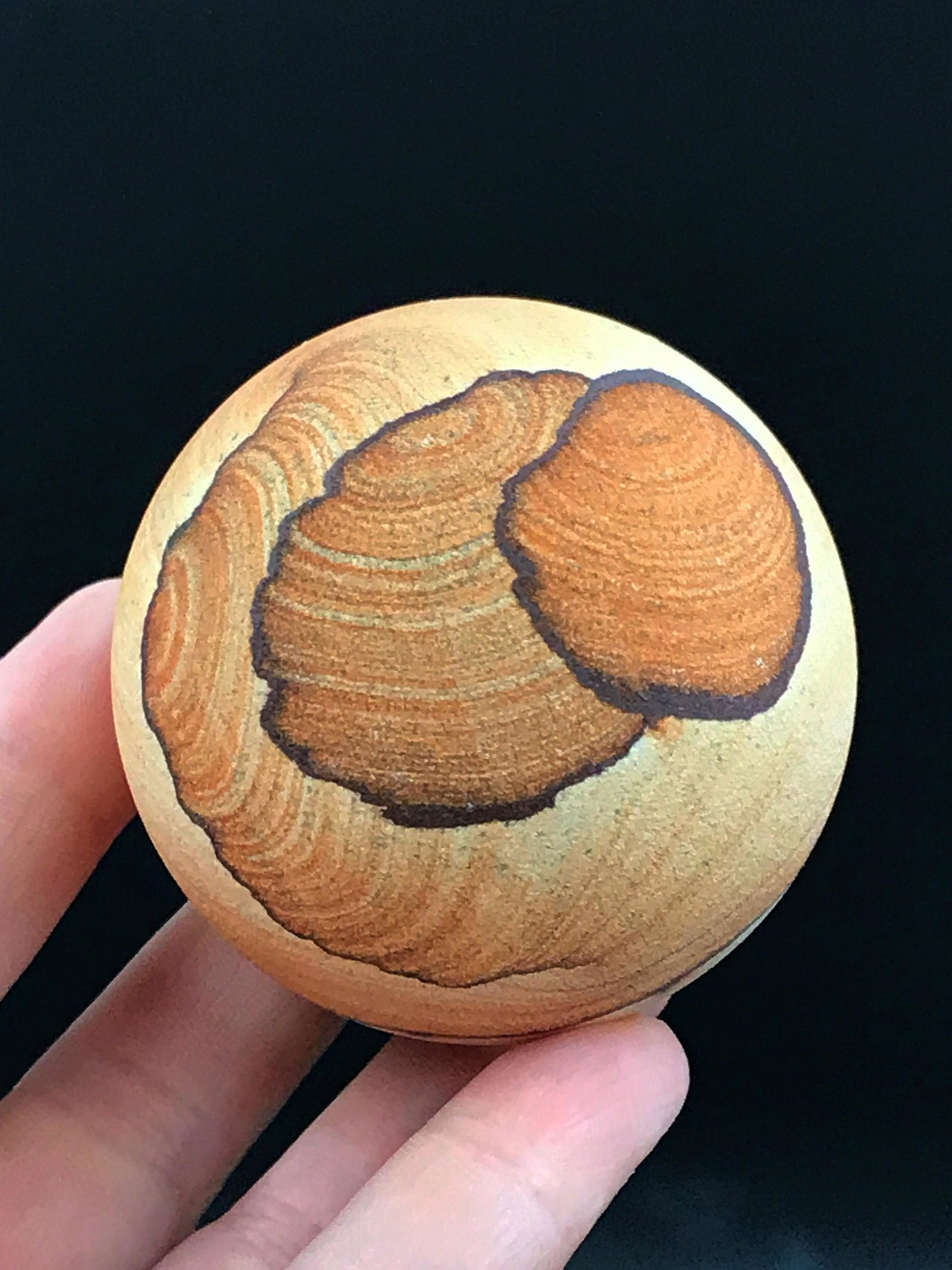 Sandstone, Rock, Decor, Collectible, Carving, Sphere: Picture sandstone sphere. Utah