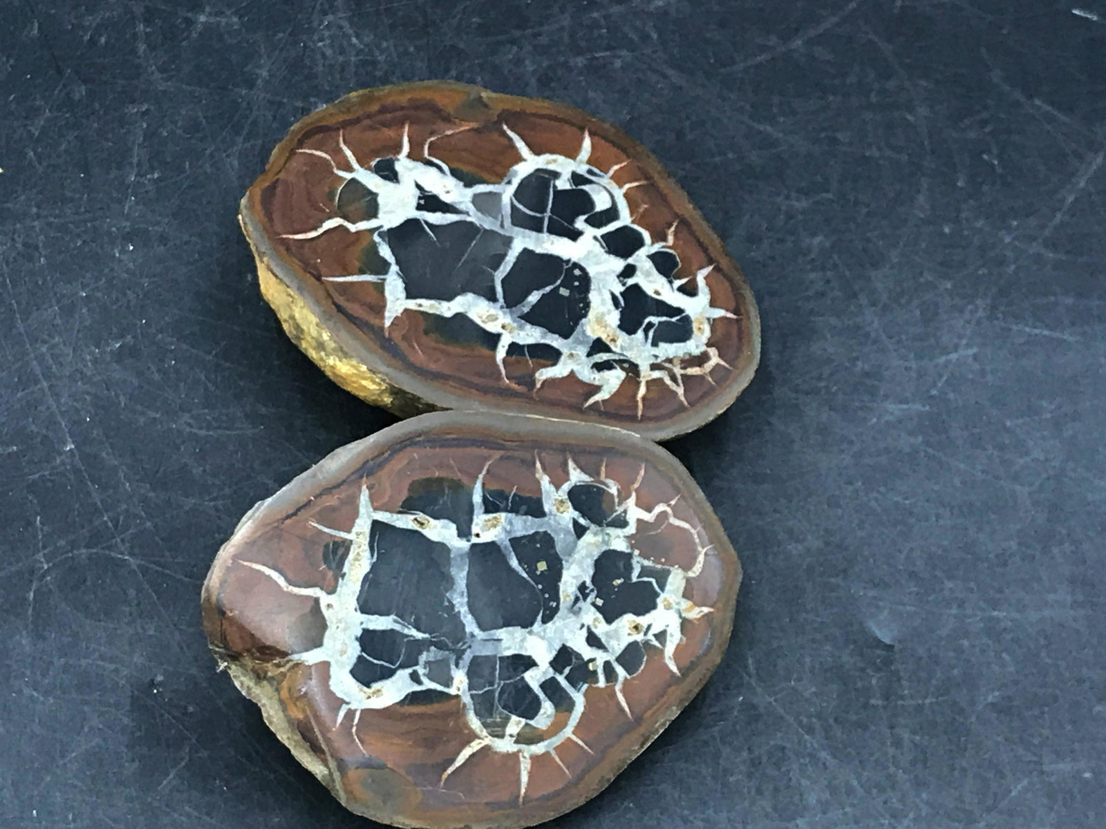 Septarian, Rock, Crystal, Natural, Collectible,: Septarian, split and polished. Morocco