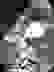 item-85294510=3