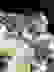 item-85294748=3