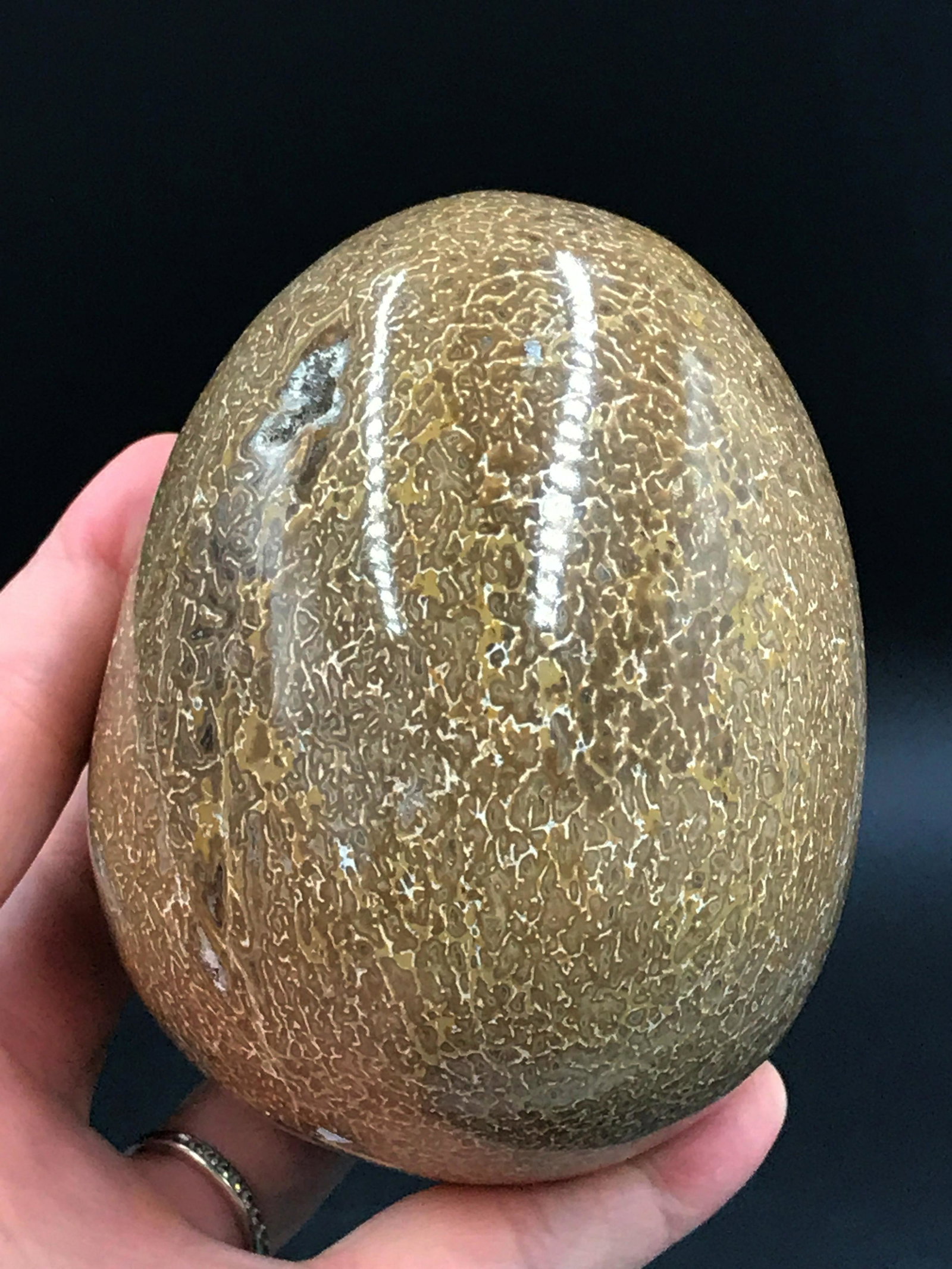 Dinosaur, Fossil, Rock, Natural, Decor, Collectible,: 4" dinosaur bone egg carving with crystal cavities. Cretaceous, 90 million years old. Morocco. Fluorescent