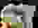 item-86261785=2
