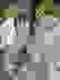 item-86261948=3