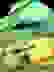 item-86261962=2