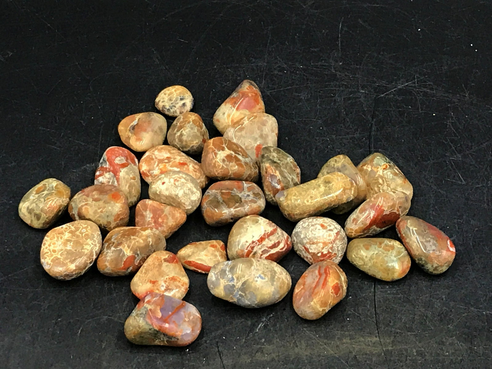 Coprolite, Rock, Fossil, Natural, Collectible, Specimen: 8 oz tumbled coprolite (dinosaur dung). Colorado. Jurassic, 180 million years old