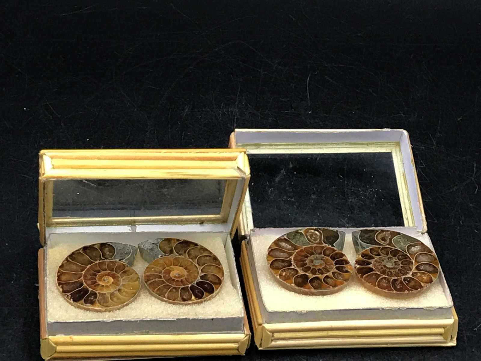 Ammonite, Fossil, Rock, Natural, Collectible, Specimen: 2 split and polished fossil ammonites in bamboo boxes. Madagascar. Cretaceous, 100 million years old